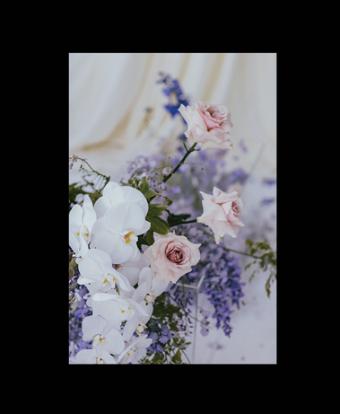 together-colour-5.png