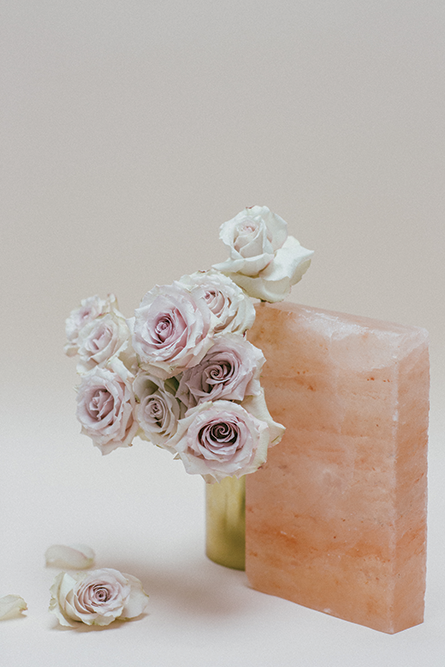 salt-still-life-2.png