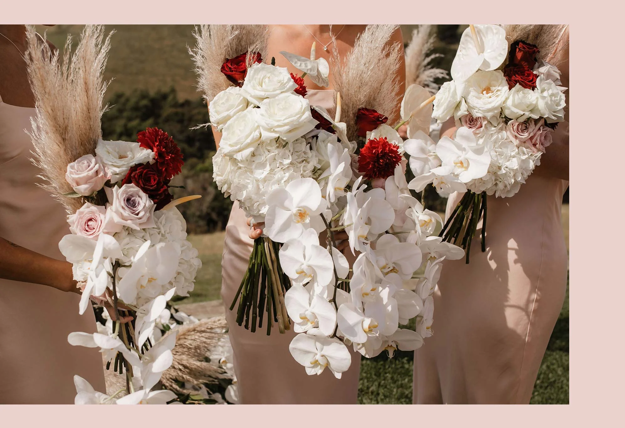 amanda thomas photography