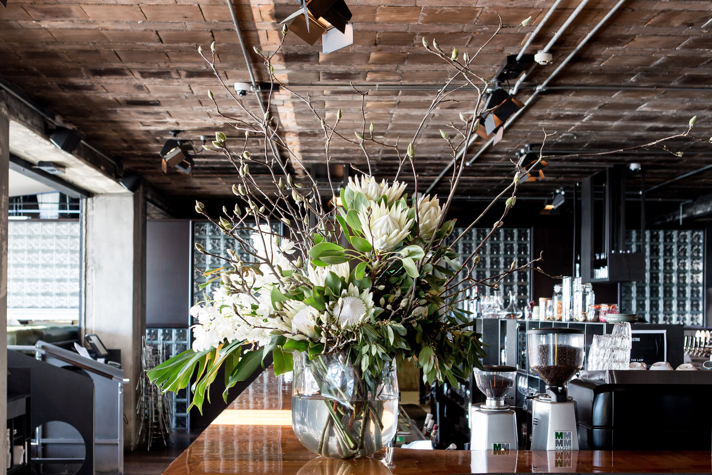 Blush Ostro Corporate