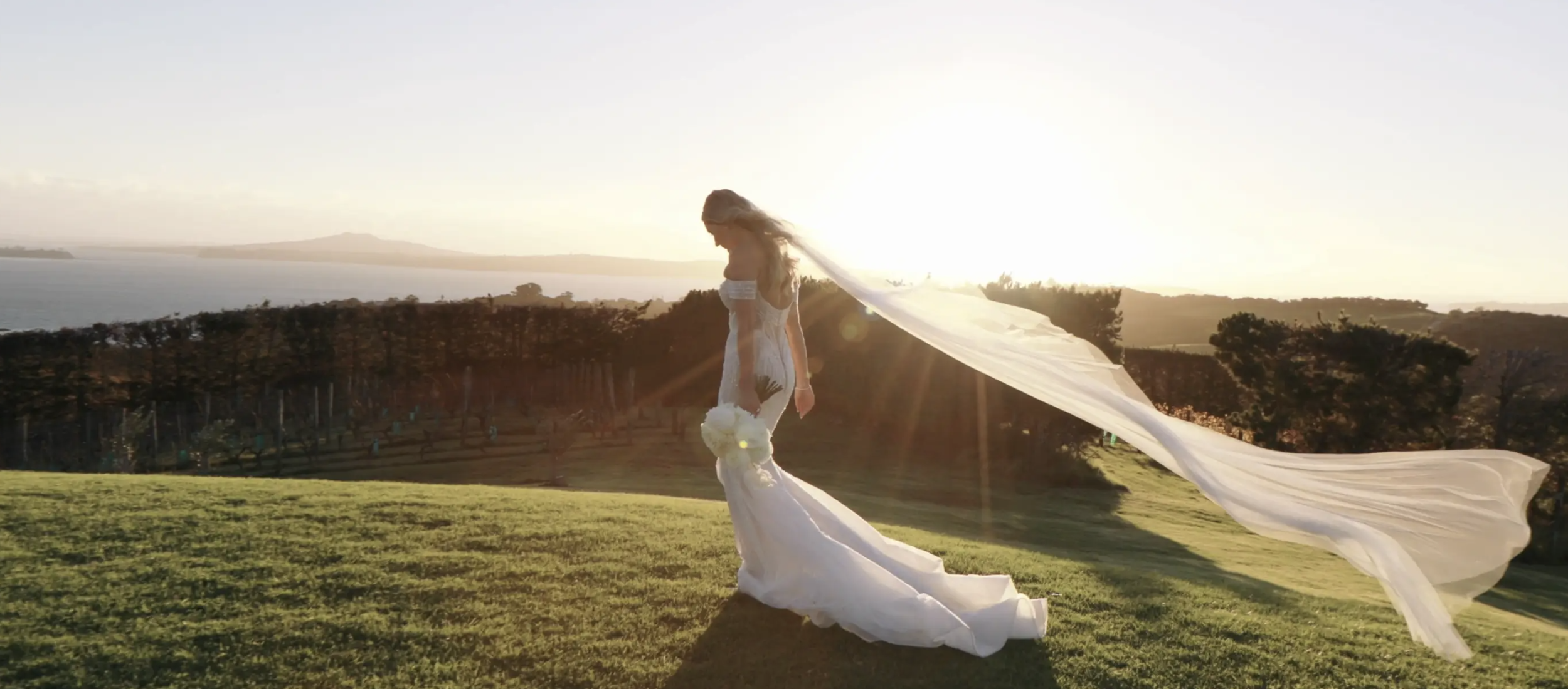 BLUSH AUCKLAND FLORIST Official Online Store