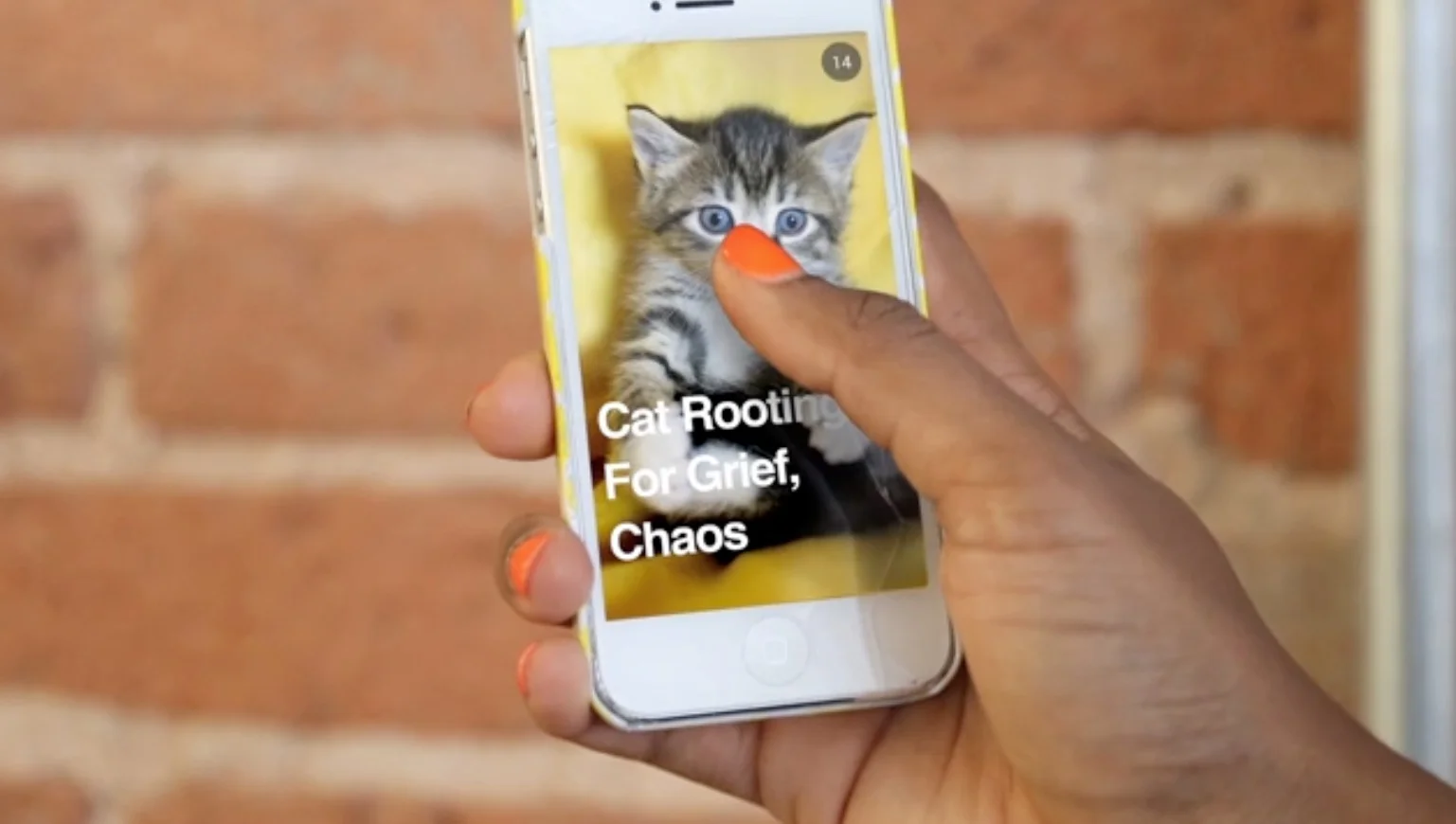 Screen+Shot+2019-04-08+at+11.18.26+PM.jpg