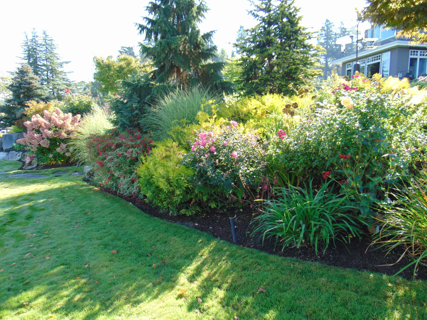 Bellevue WA Lanscape Consultations and Design by Jon L Shepodd Landscaping.JPG