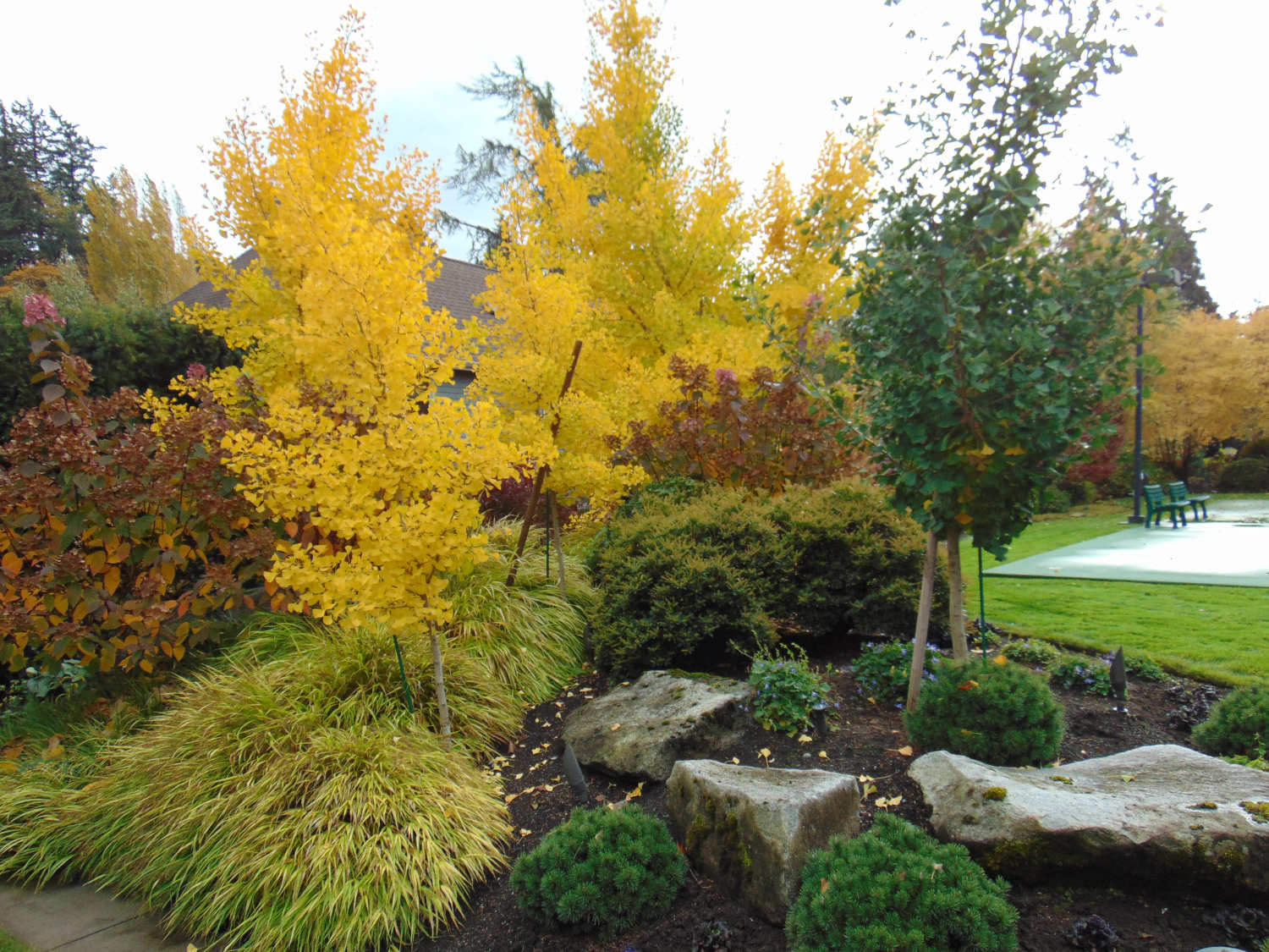 Lanscape Design Consultations and Installations in Bellevue WA by Jon L Shepodd Landscaping.JPG