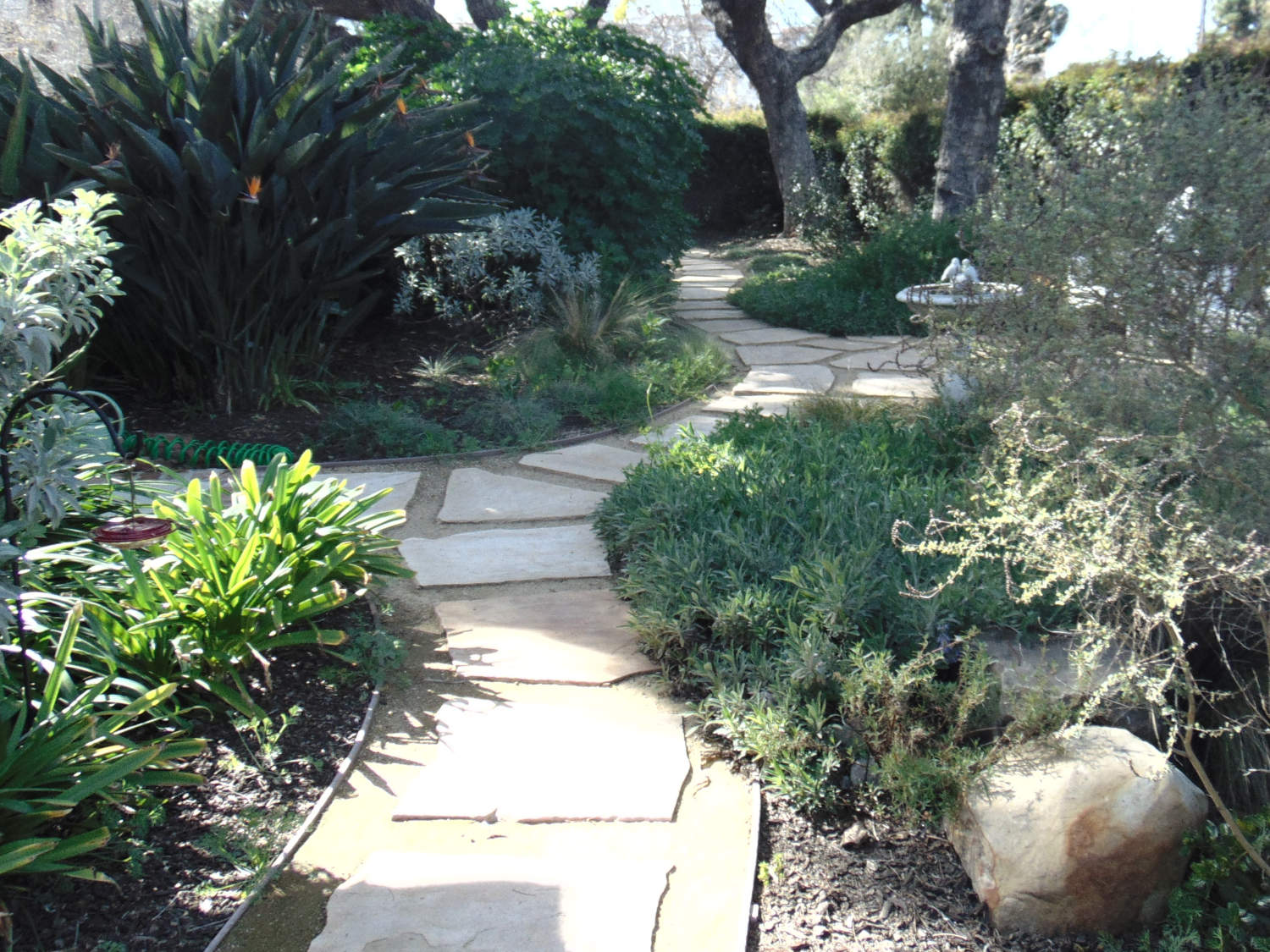 Patio and Yard Lanscape Design Consultations Bellevue WA by Jon L Shepodd Landscaping.JPG