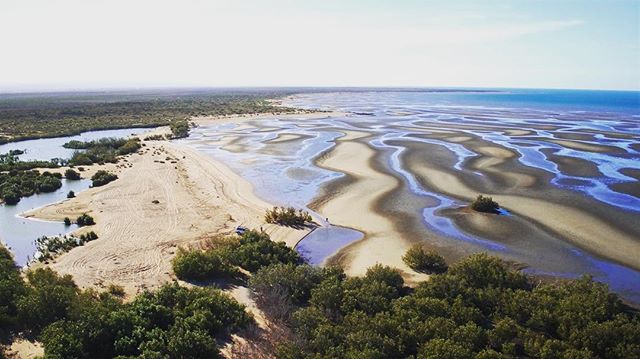 Exmouth Gulf supports a globally unique marine ecosystem and associated biodiversity. It contains World Heritage values including its remote, undeveloped, estuarine environments, fossil Pleistocene coral reefs and habitat for migrating and resident species such as humpback whales, dugongs, turtles and seabirds. Not only this, the Gulf also forms part of the largest intact arid mangrove ecosystem in the world!
⠀⠀⠀⠀⠀⠀⠀⠀⠀
🌊
⠀⠀⠀⠀⠀⠀⠀⠀⠀⠀⠀⠀⠀⠀⠀⠀⠀⠀⠀⠀⠀⠀⠀⠀⠀⠀⠀⠀⠀⠀
#oceanwise #exmouthgulf #exmouth #bayofrest #biodiversityhotspot #mangroves #oysterbeds #migratoryspecies #migratorybirds #humpbackwhales #dugongs #turtles #marineconservation