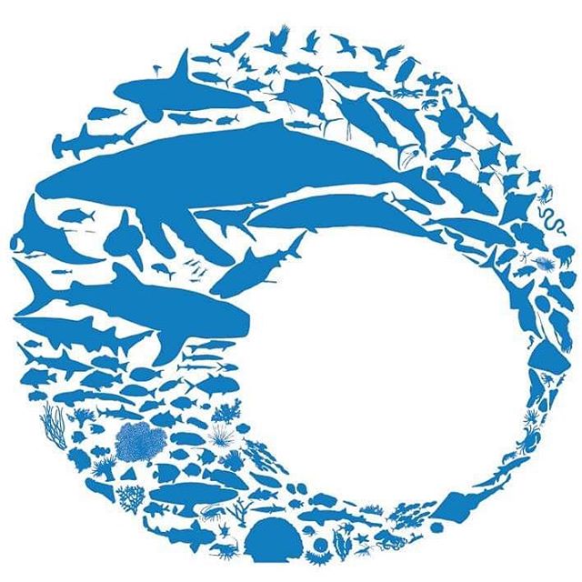 Welcome to Oceanwise Australia! We progress research, management and conservation of the planet's most endangered ecosystems and species. Follow us to find out more about our exciting projects!
⠀⠀⠀⠀⠀⠀⠀⠀⠀
🌊
⠀⠀⠀⠀⠀⠀⠀⠀⠀⠀⠀⠀⠀⠀⠀⠀⠀⠀⠀⠀⠀⠀⠀⠀⠀⠀⠀⠀⠀⠀⠀⠀⠀⠀⠀⠀ #oceanwise #oceanwiseaustralia #marineresearch #marineconservation #marinescience