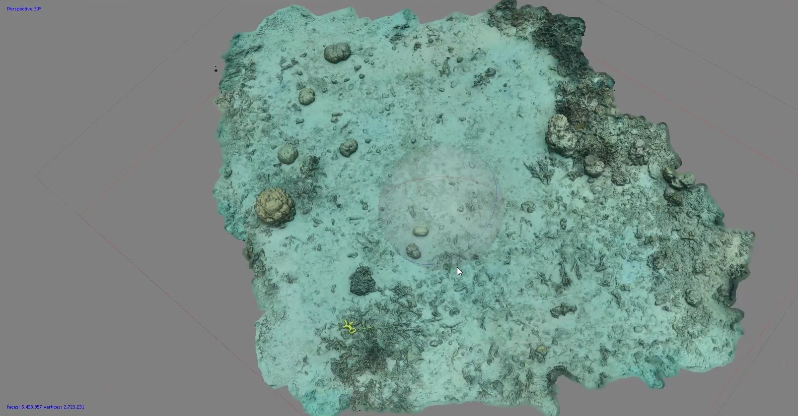 Figure 2. Reconstructed model of a coral reef plot.