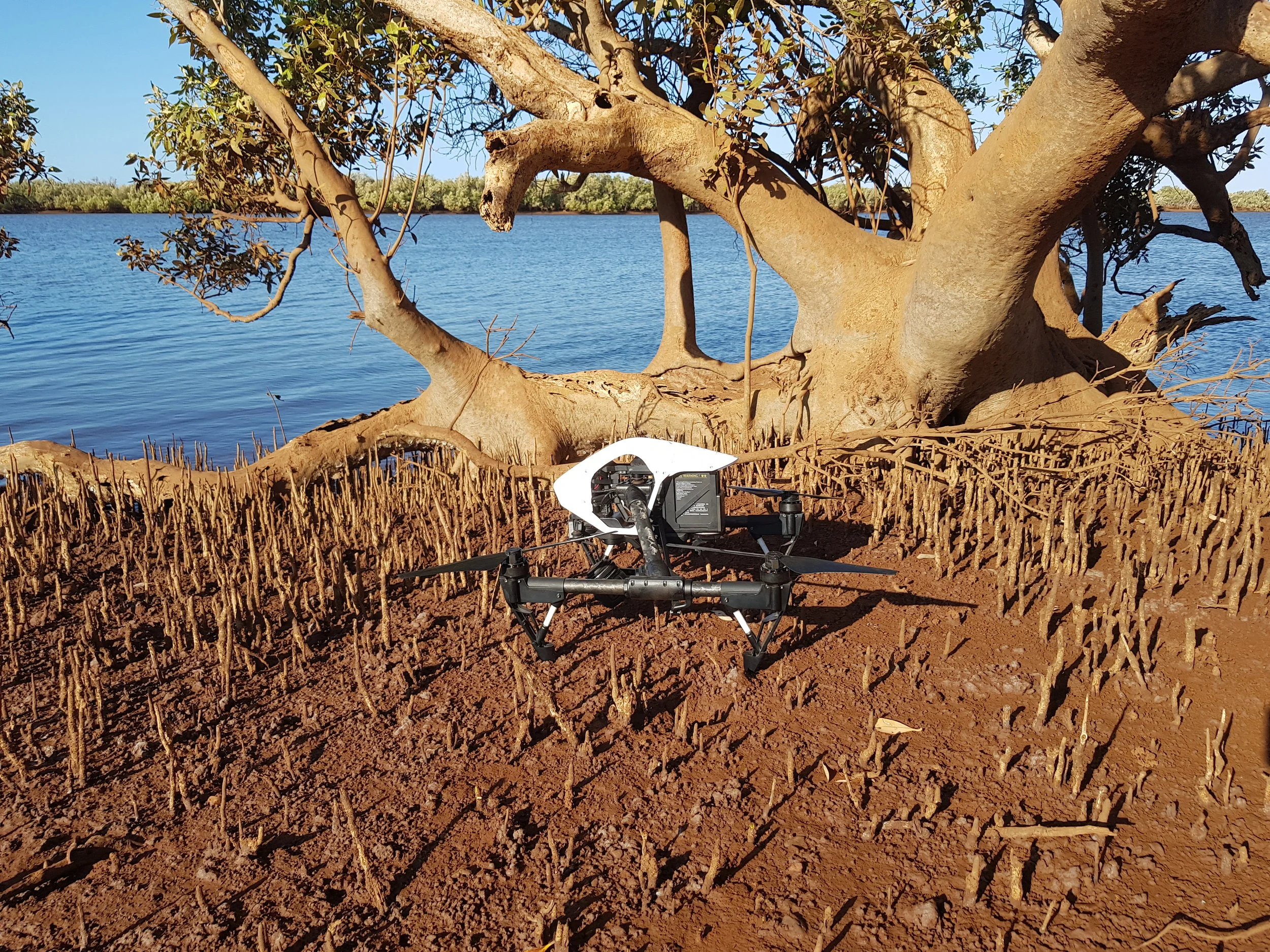 drone.jpg
