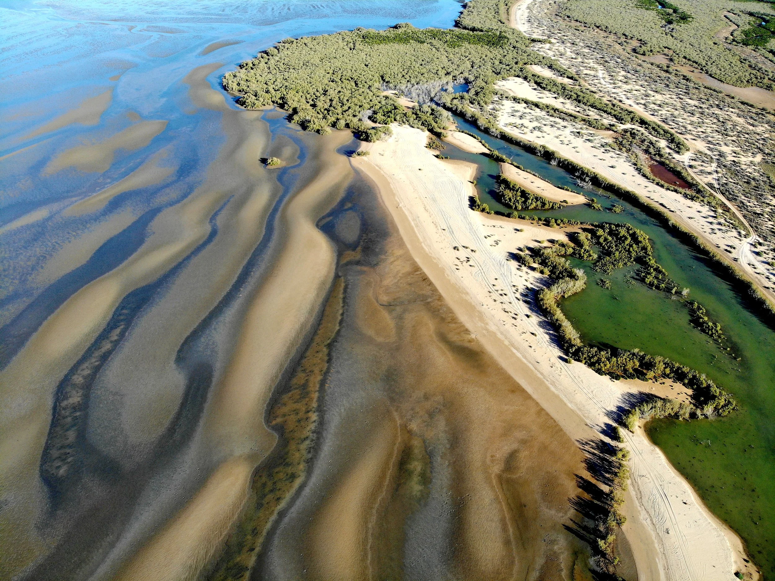 Drone based surveys — Oceanwise Australia