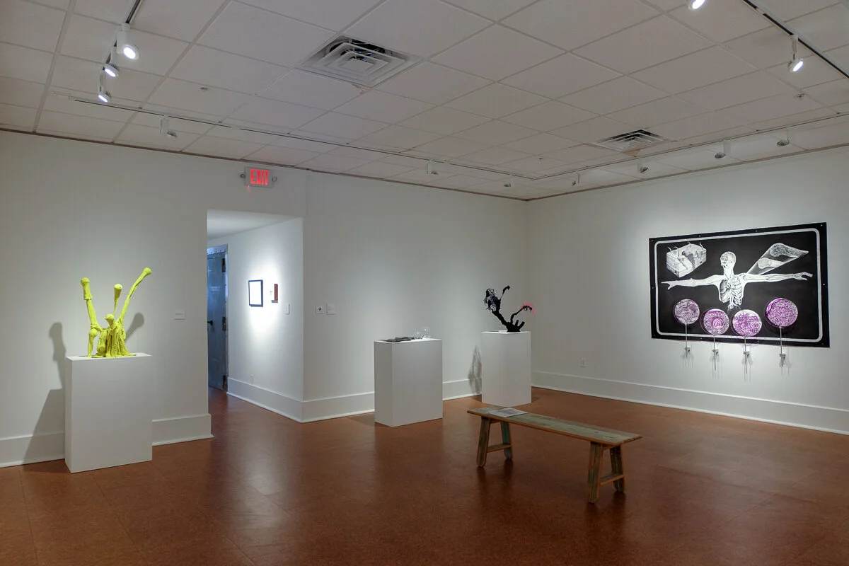 Visual Pathology - 8.25.2018-10.7.2018-2.jpg