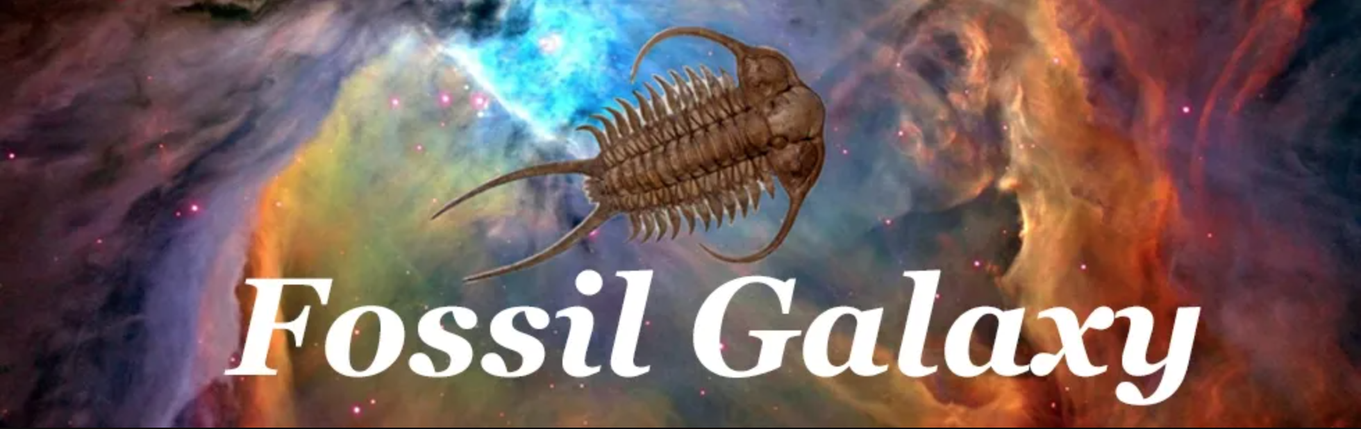 Fossil Galaxy 2208 Postoffice | 409.256.6985 fossilgalaxy.com