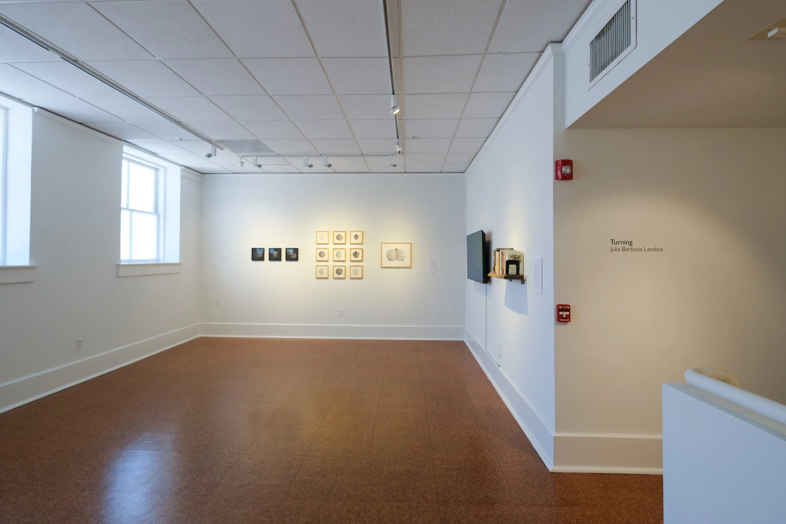 Julia Barbosa Landois - March 2026 - Photo by Roxann Grover 5.jpg