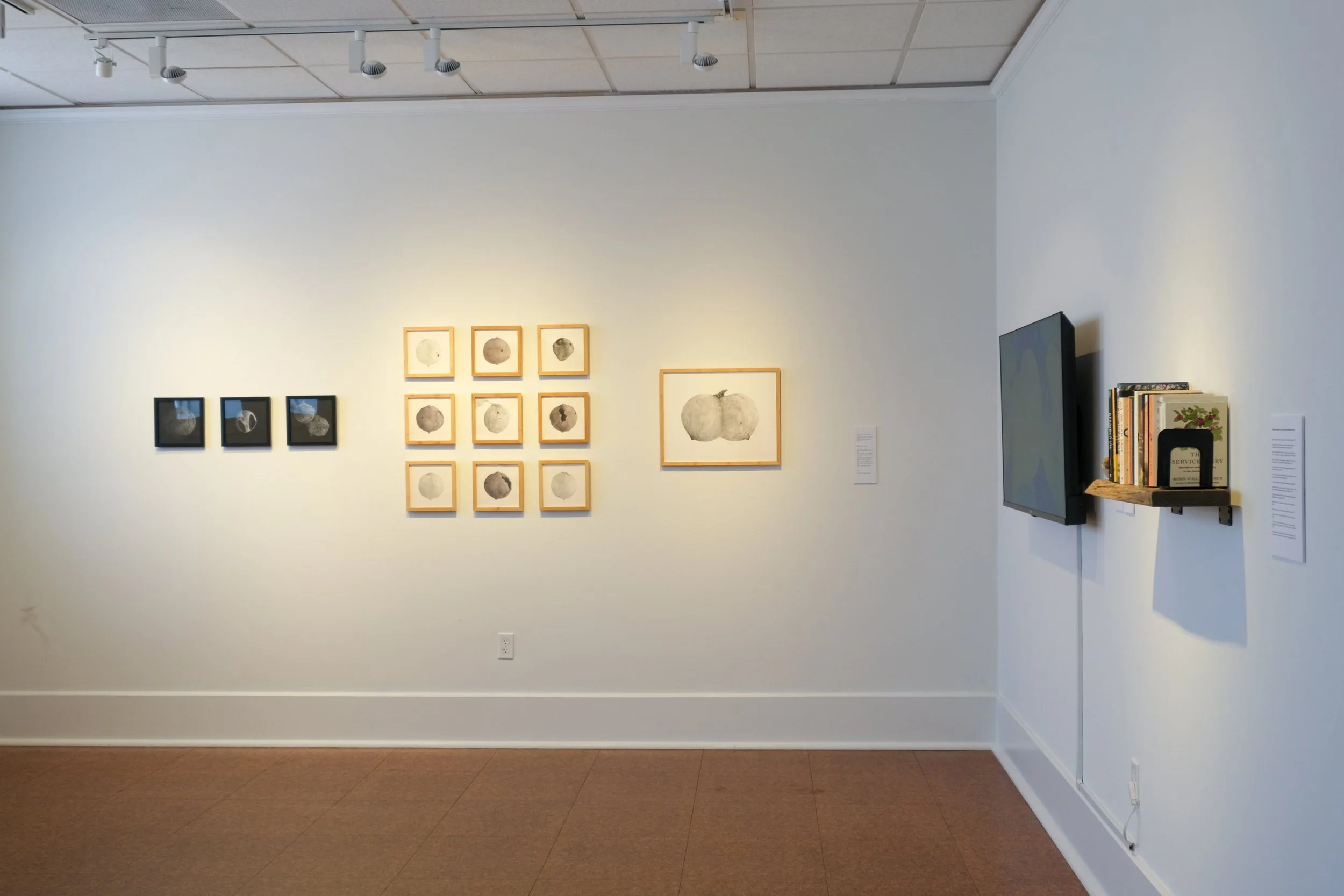 Julia Barbosa Landois - March 2026 - Photo by Roxann Grover 7.jpg