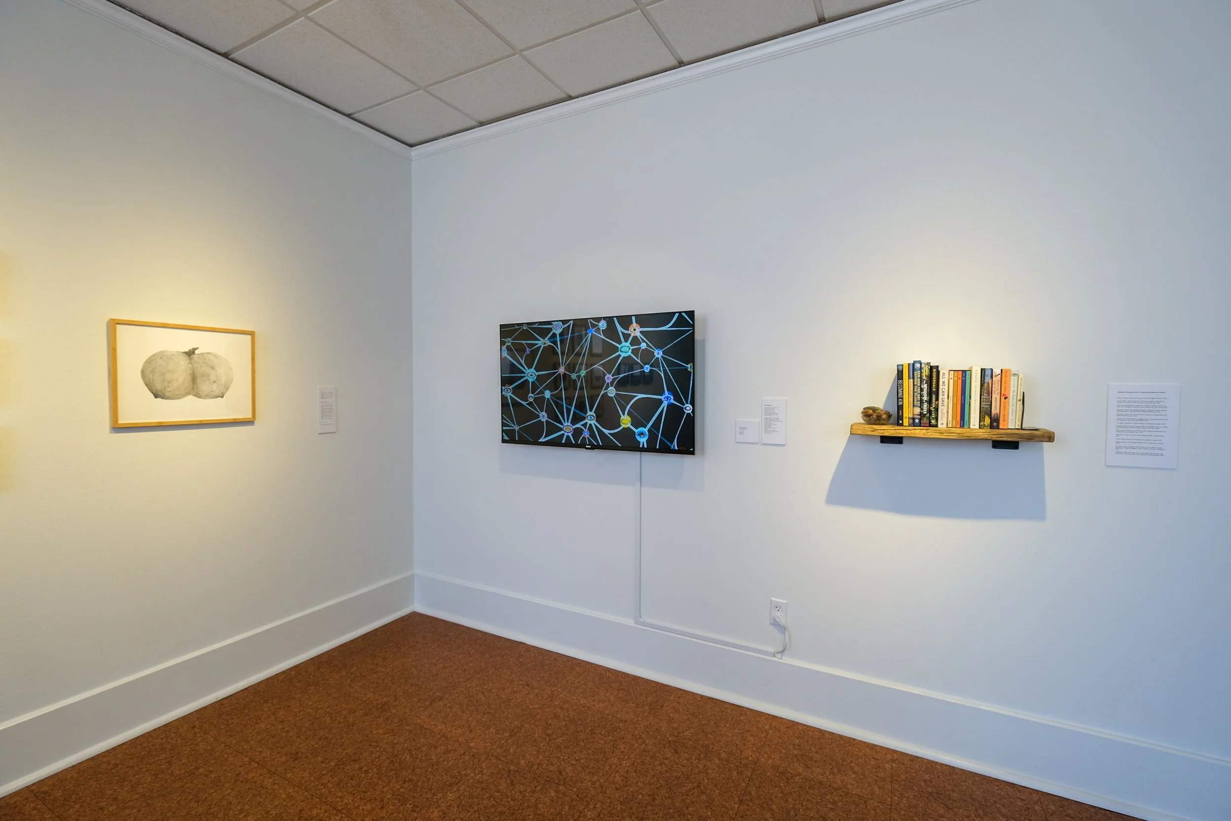 Julia Barbosa Landois - March 2026 - Photo by Roxann Grover 11.jpg