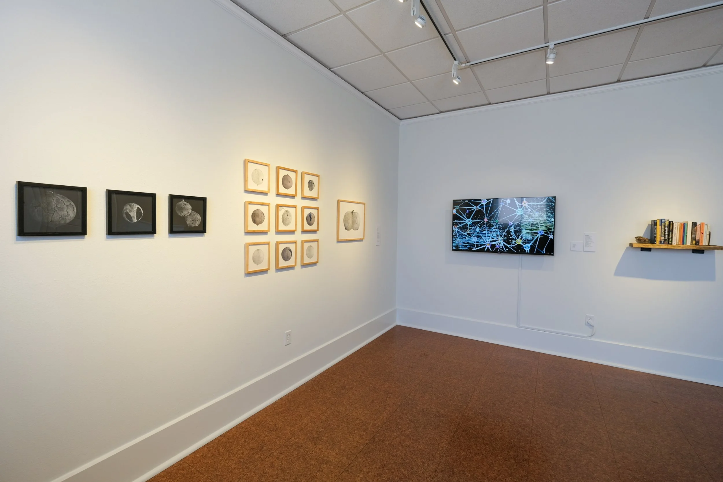 Julia Barbosa Landois - March 2026 - Photo by Roxann Grover 13.jpg