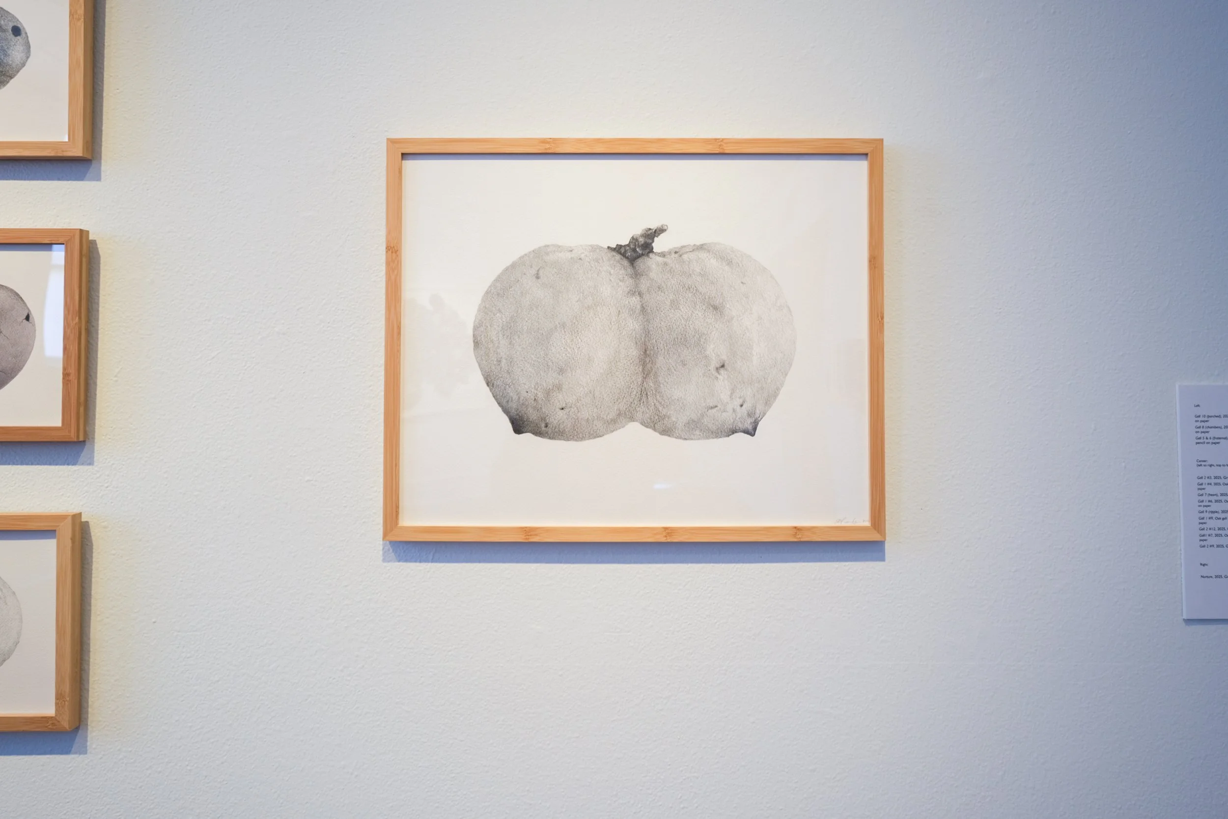 Julia Barbosa Landois - March 2026 - Photo by Roxann Grover 14.jpg