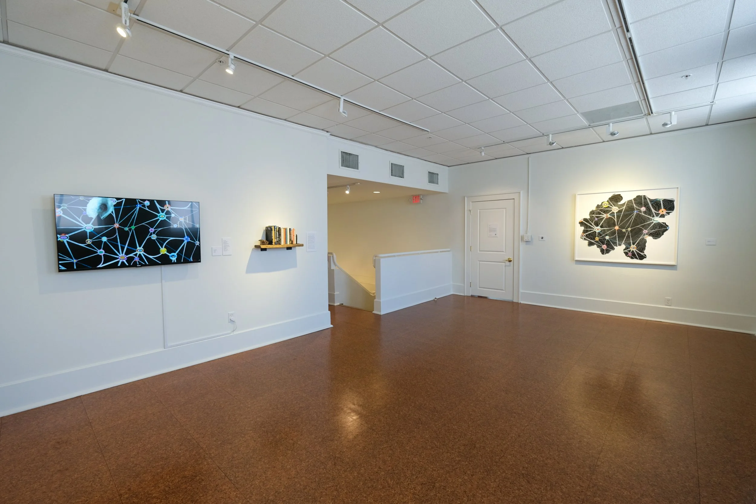 Julia Barbosa Landois - March 2026 - Photo by Roxann Grover 15.jpg