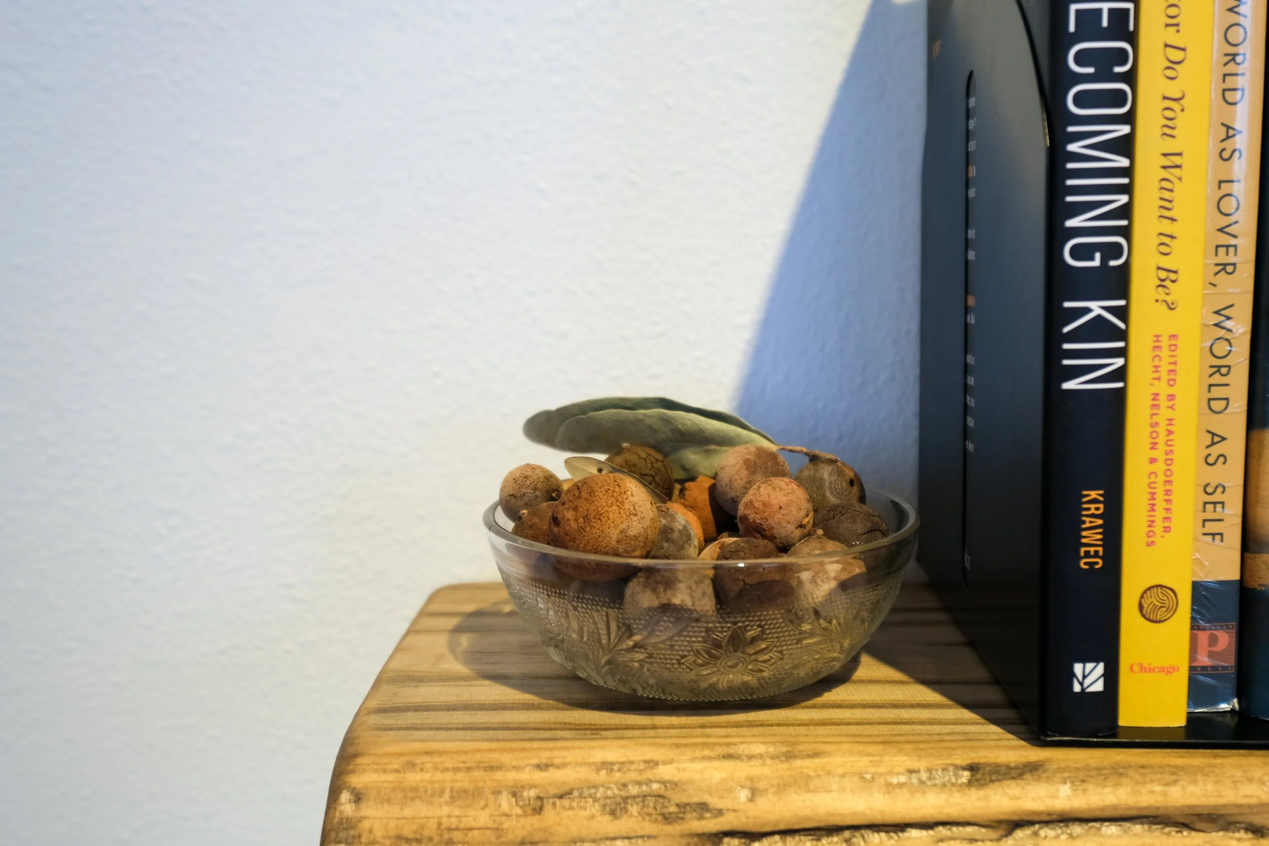 Julia Barbosa Landois - March 2026 - Photo by Roxann Grover 17.jpg