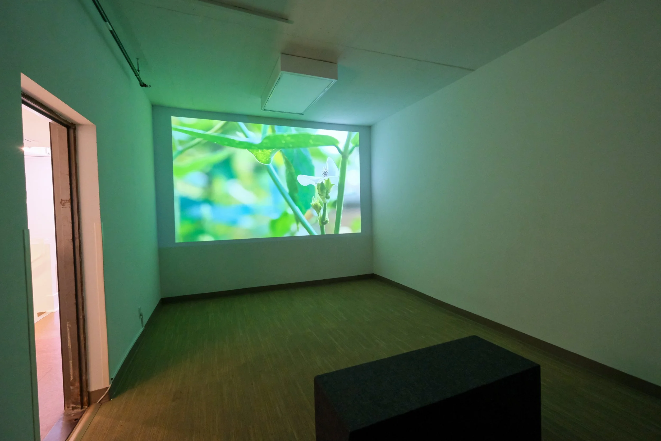 Julia Barbosa Landois - March 2026 - Photo by Roxann Grover 18.jpg