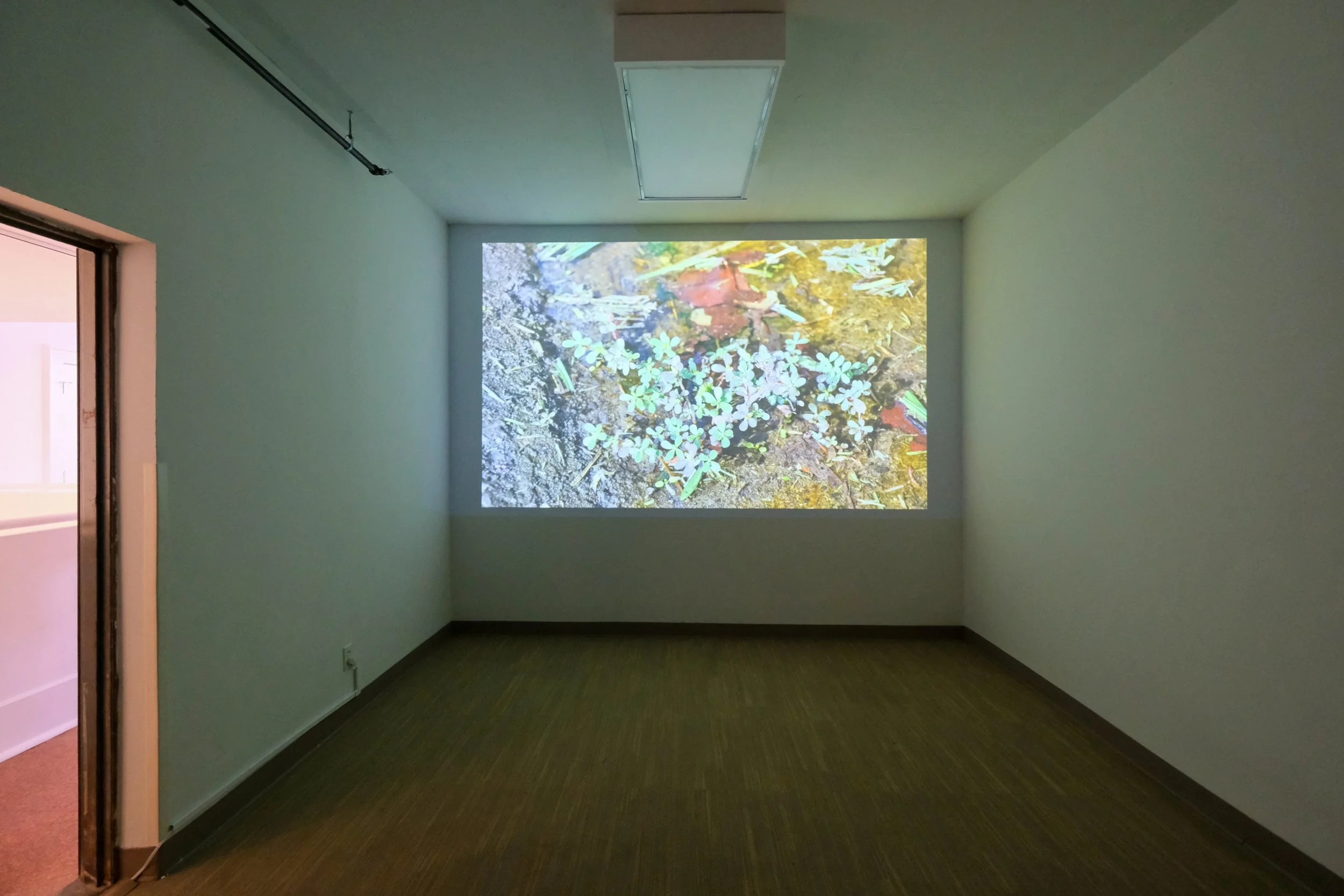 Julia Barbosa Landois - March 2026 - Photo by Roxann Grover 23.jpg