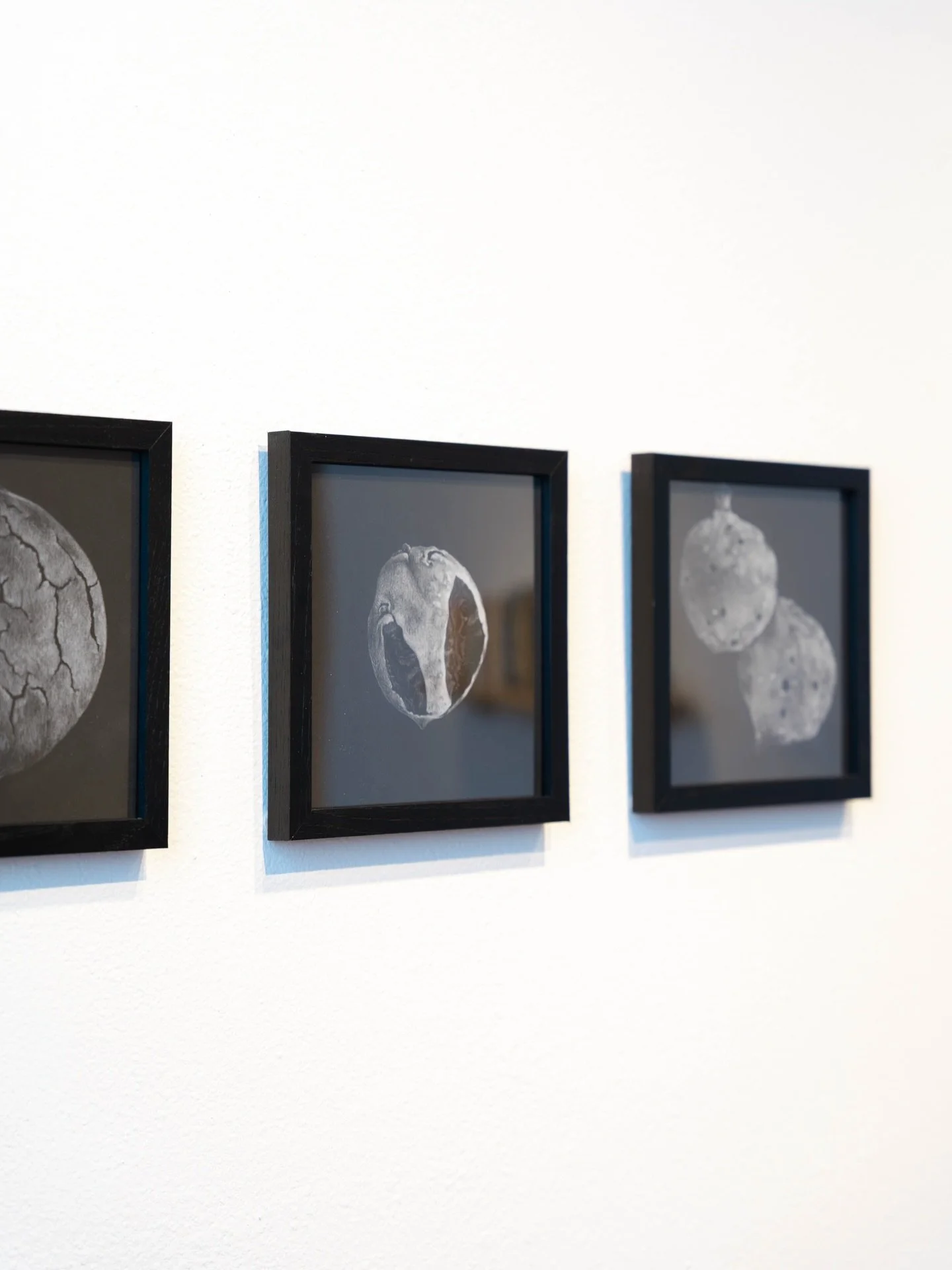 Julia Barbosa Landois&lsquo; Turning is a series of poetic video and animation works about human relationships with the non-human world and what&rsquo;s left to future generations. 

Sidewalk weeds, bayous, fig trees, and oak galls summon narratives 