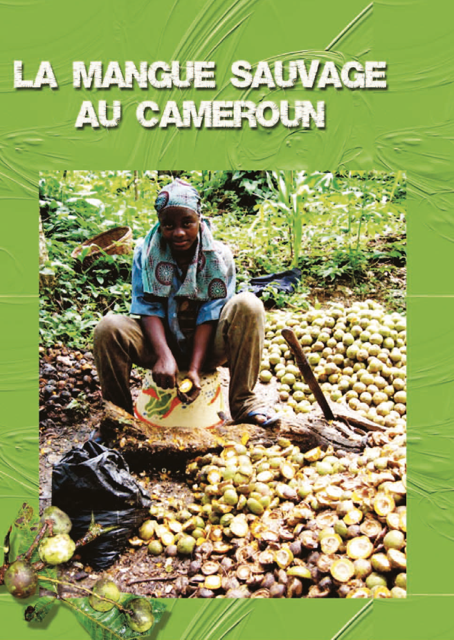 Bush mango (Irvingia spp.) — People and Plants International