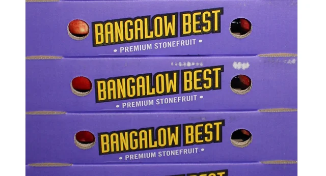 Bangalows Best2.jpg