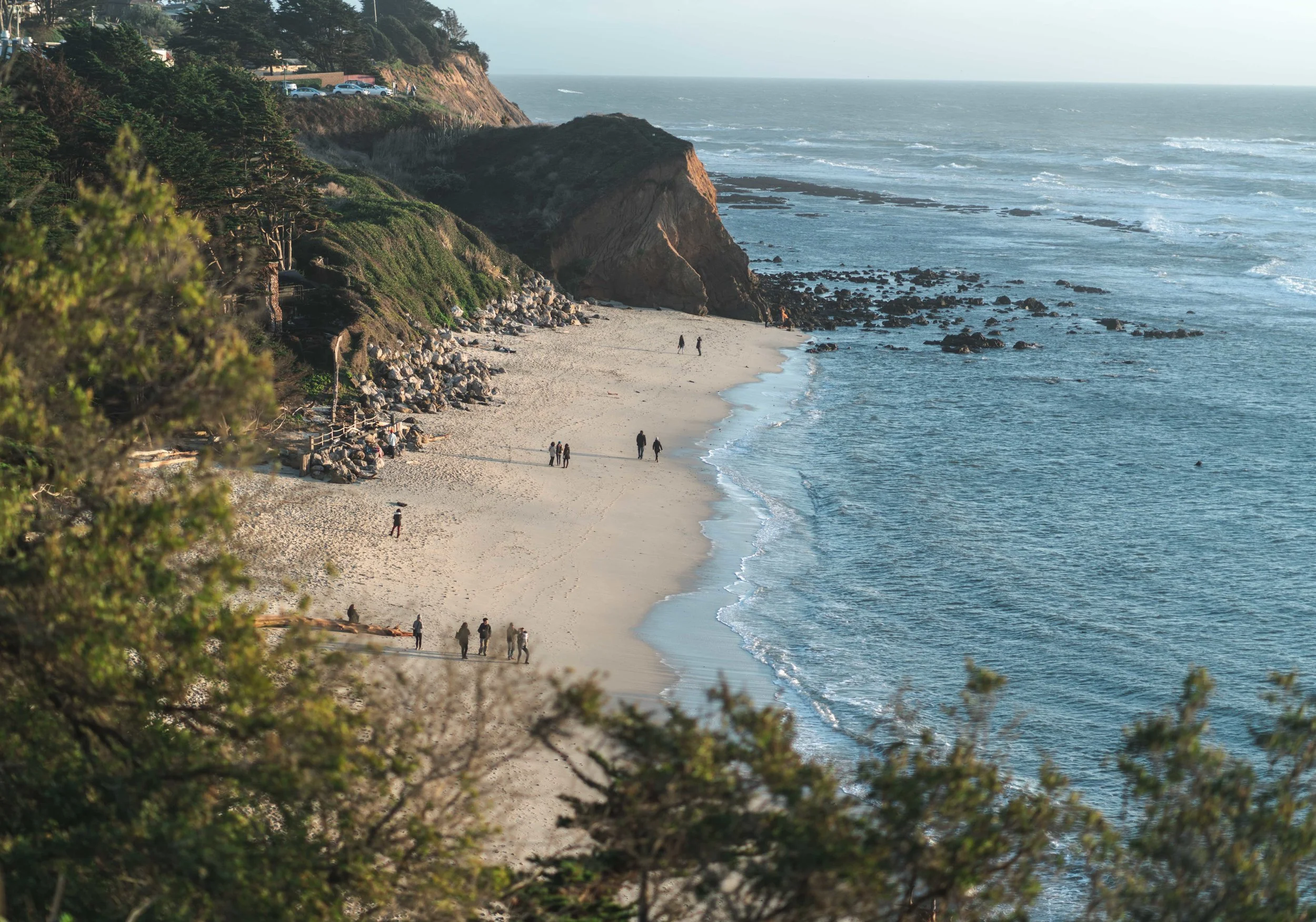 Seal-Cove---BAIXA.jpg