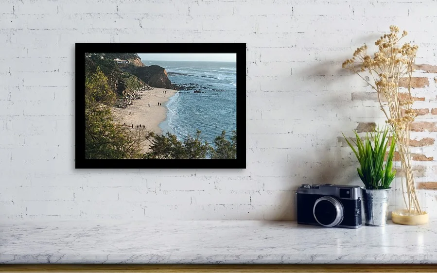 seal-cove 16 x 8.jpg