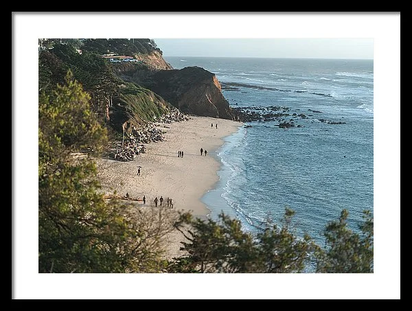 seal-cove-framed.jpg
