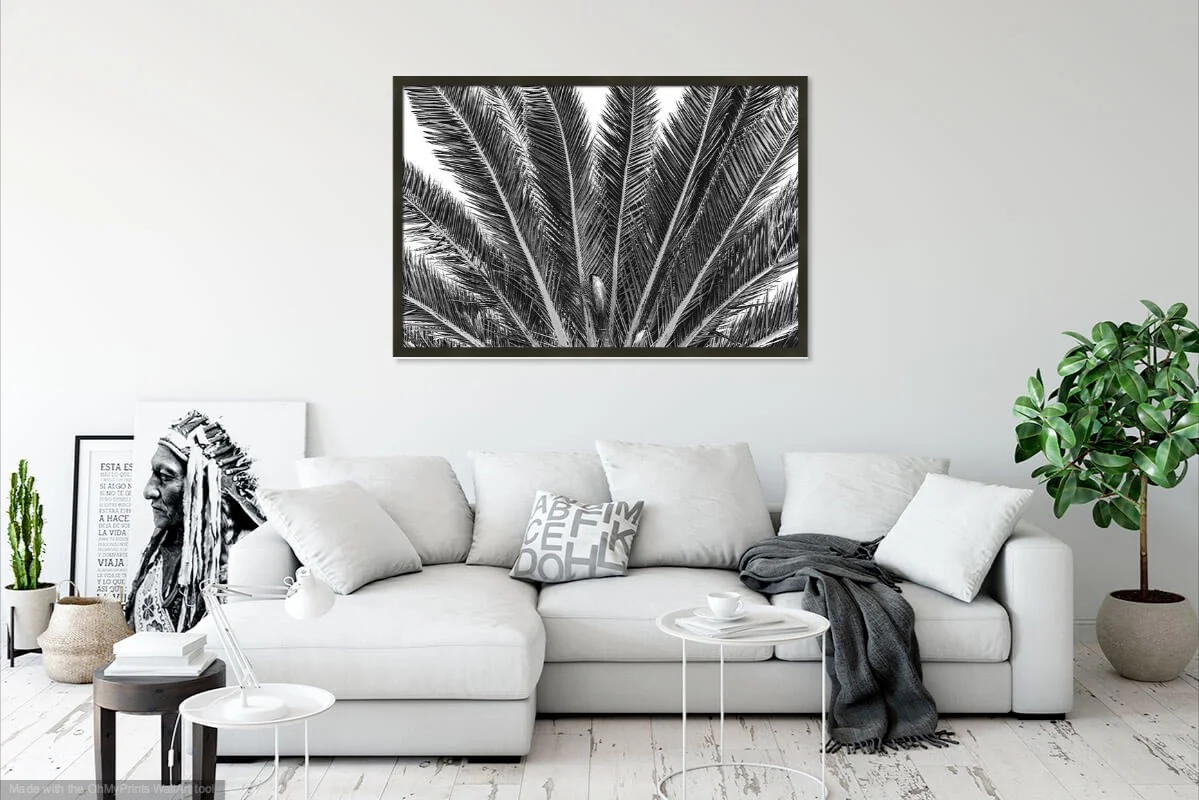 ohmyprints-12052019-053723.jpg