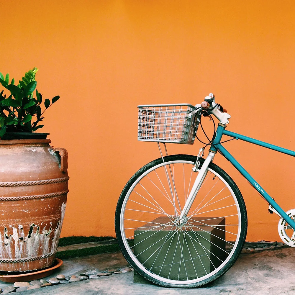 Orange Blossom Virtual Assistant