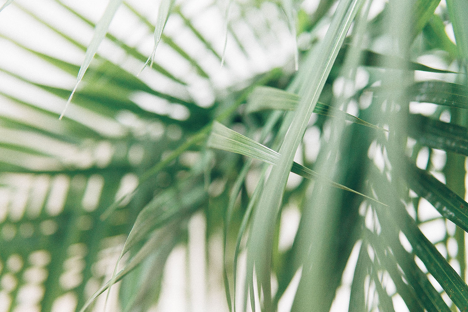 ap-x-90-395040-unsplash-klein.jpg
