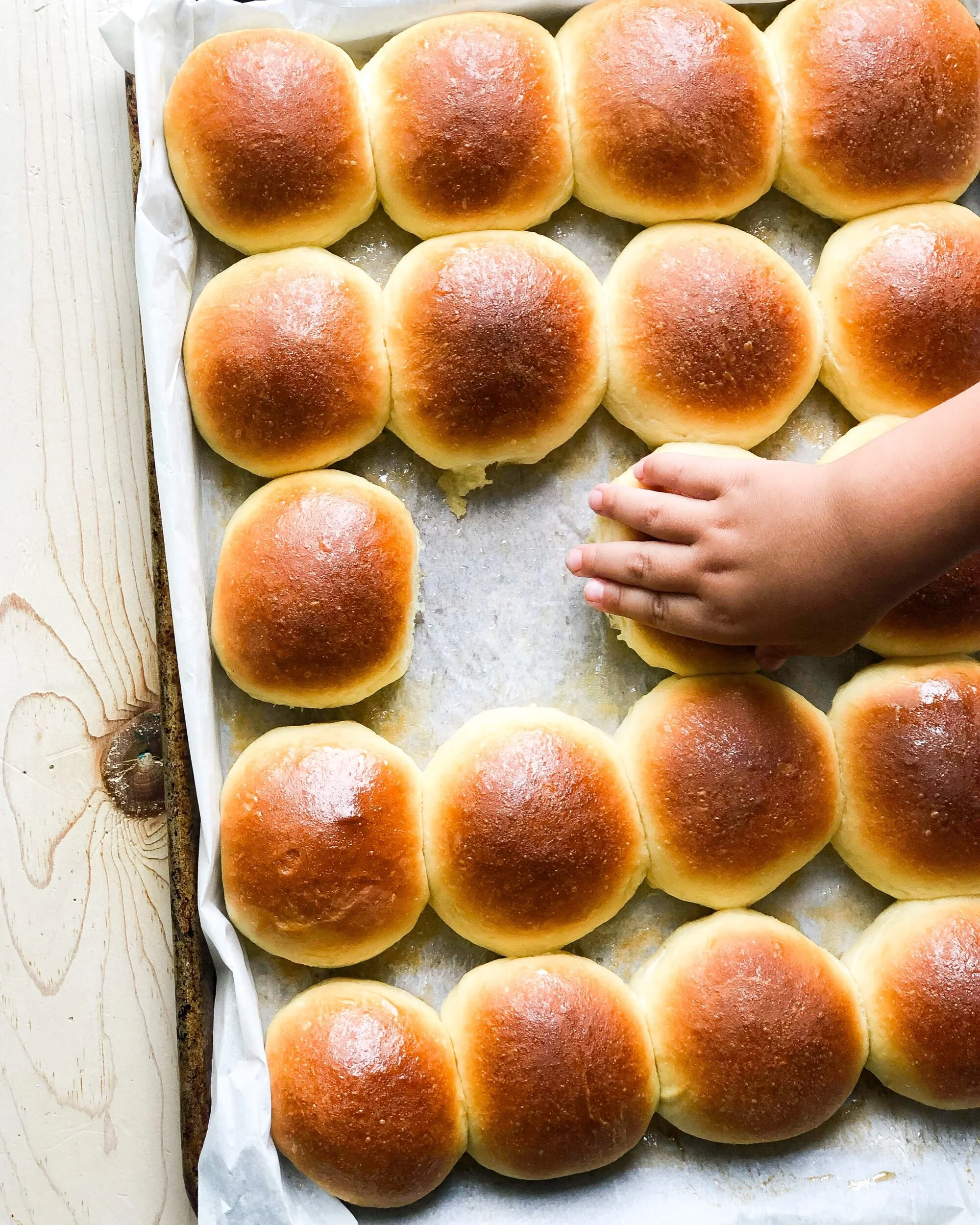 Honey Bread Rolls