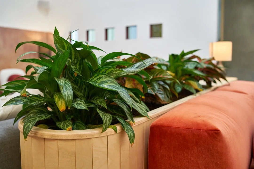 New Web Photos - 06.14.22-87.jpg