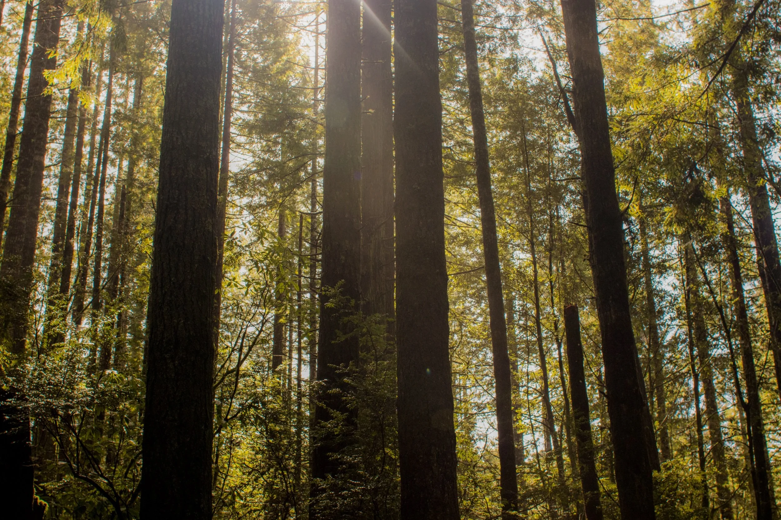 New Travel Photos -114.jpeg