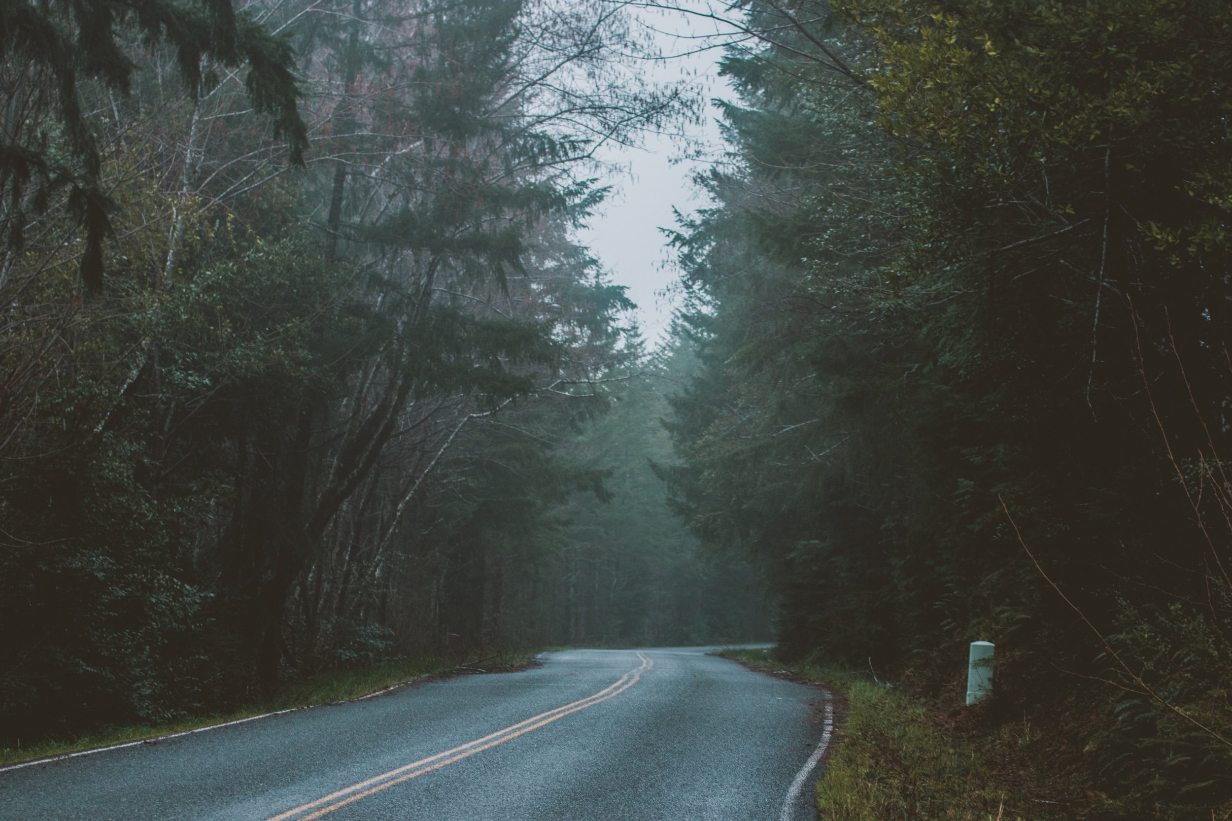 New Travel Photos -91.jpeg