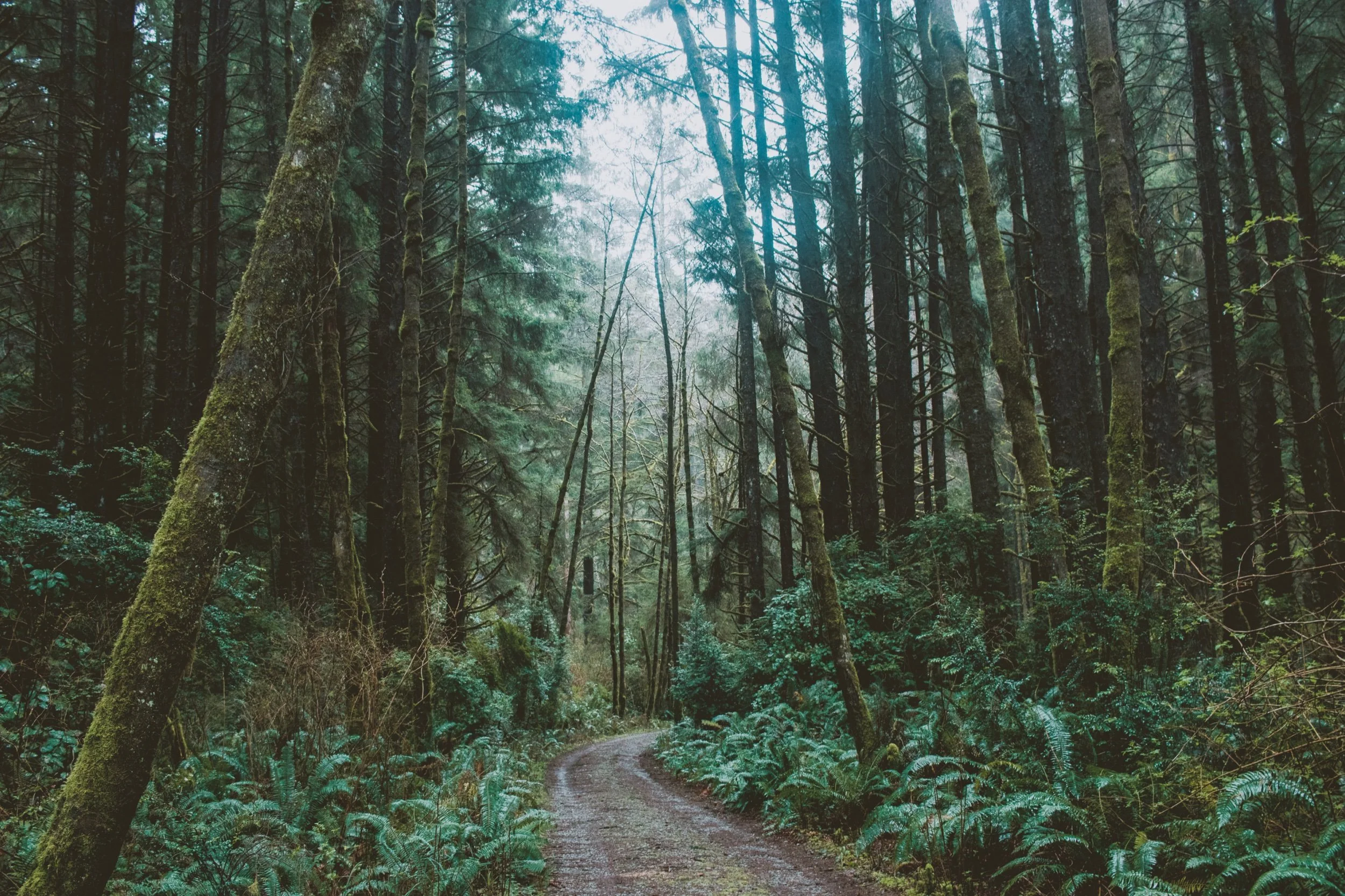 New Travel Photos -88.jpeg