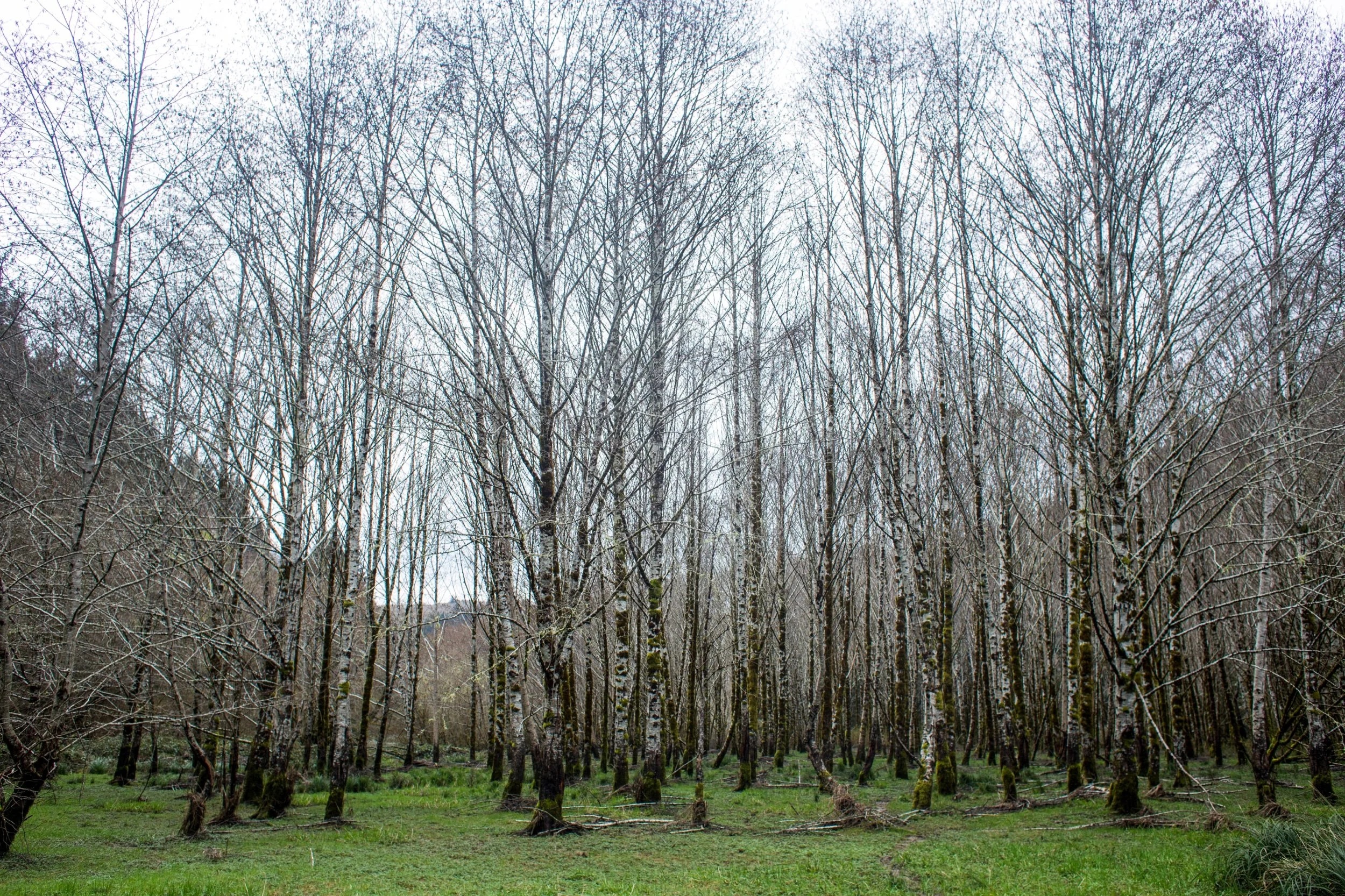 New Travel Photos -77.jpeg