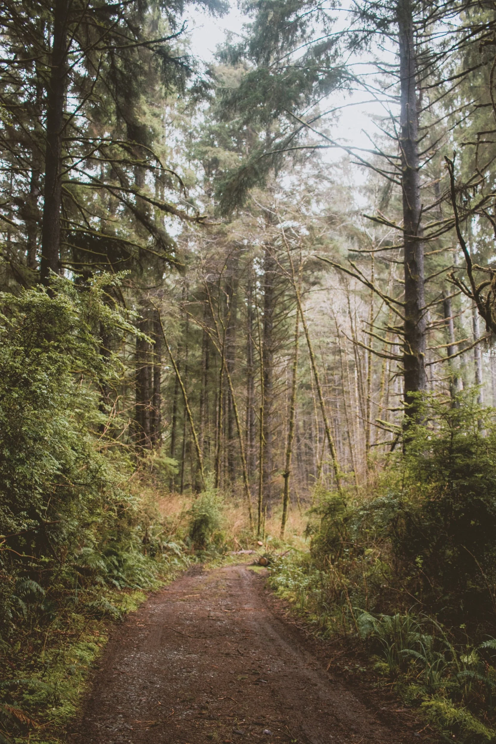 New Travel Photos -85.jpeg