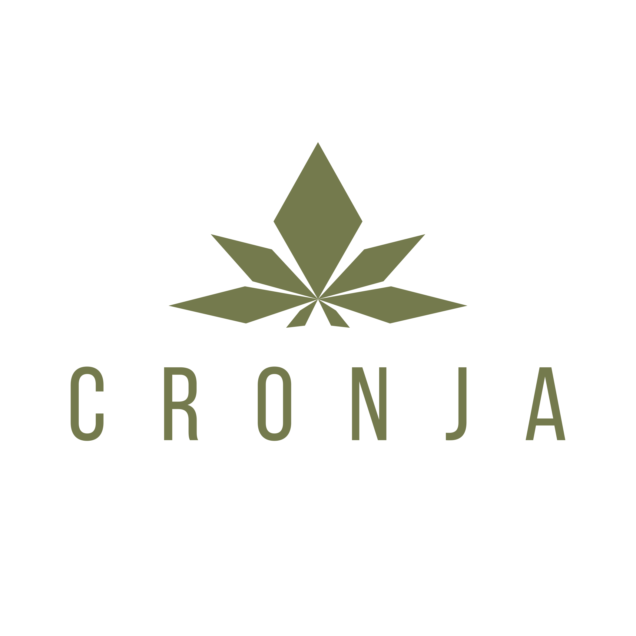 CRONJA-Logo-1.PNG