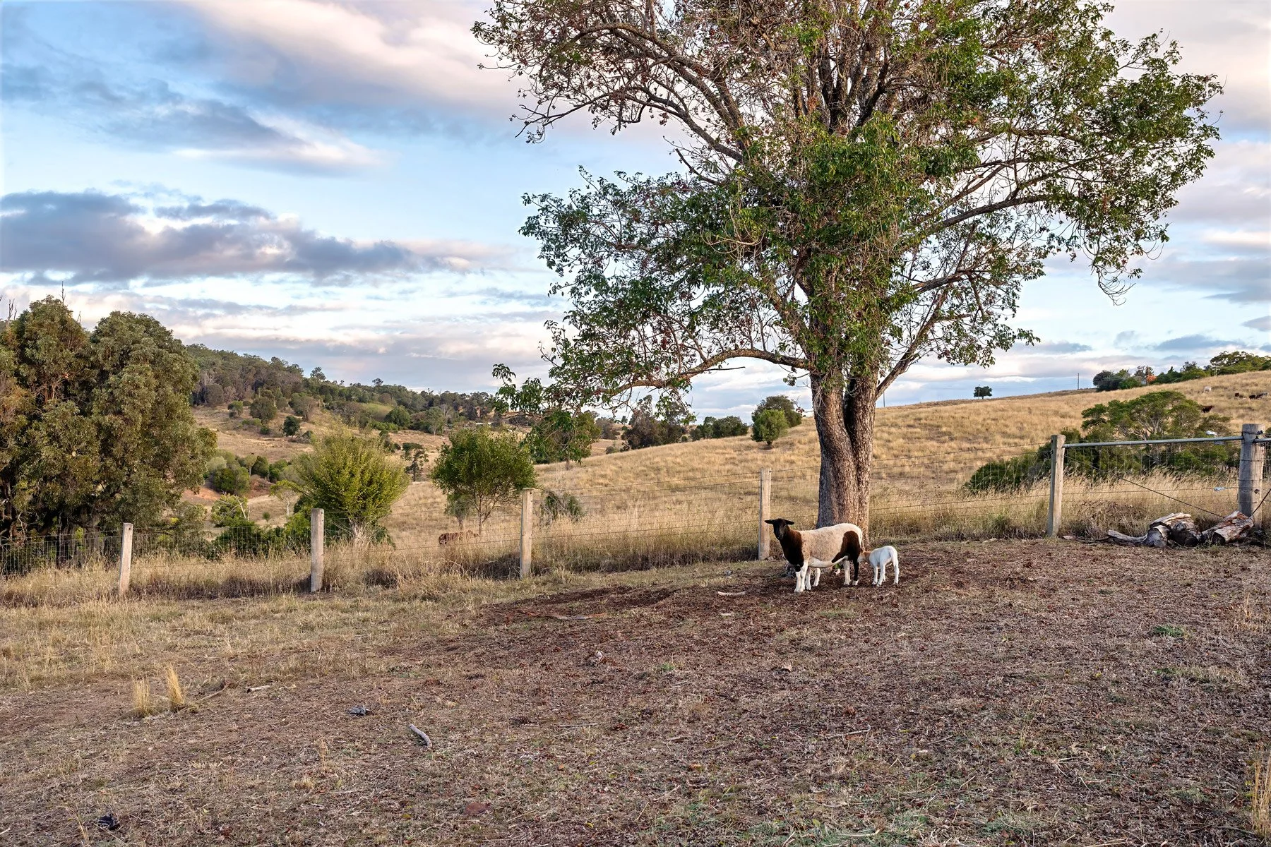 Digital-1-QLD---188-Mocker-Rd,-Roadvale-Queensland-4310,-Australia---0056.jpg