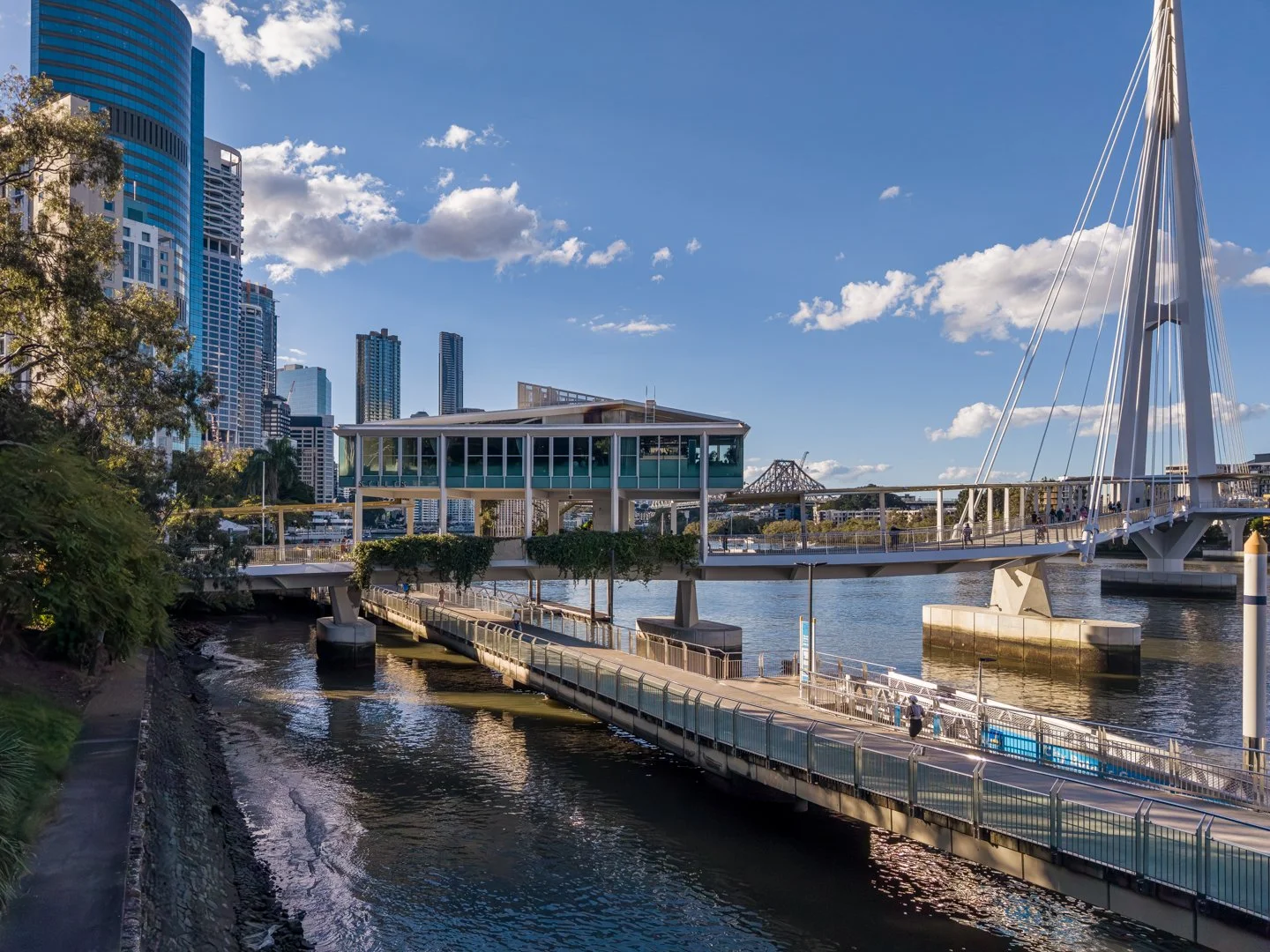 Kangaroo Point From Botanical Gardens