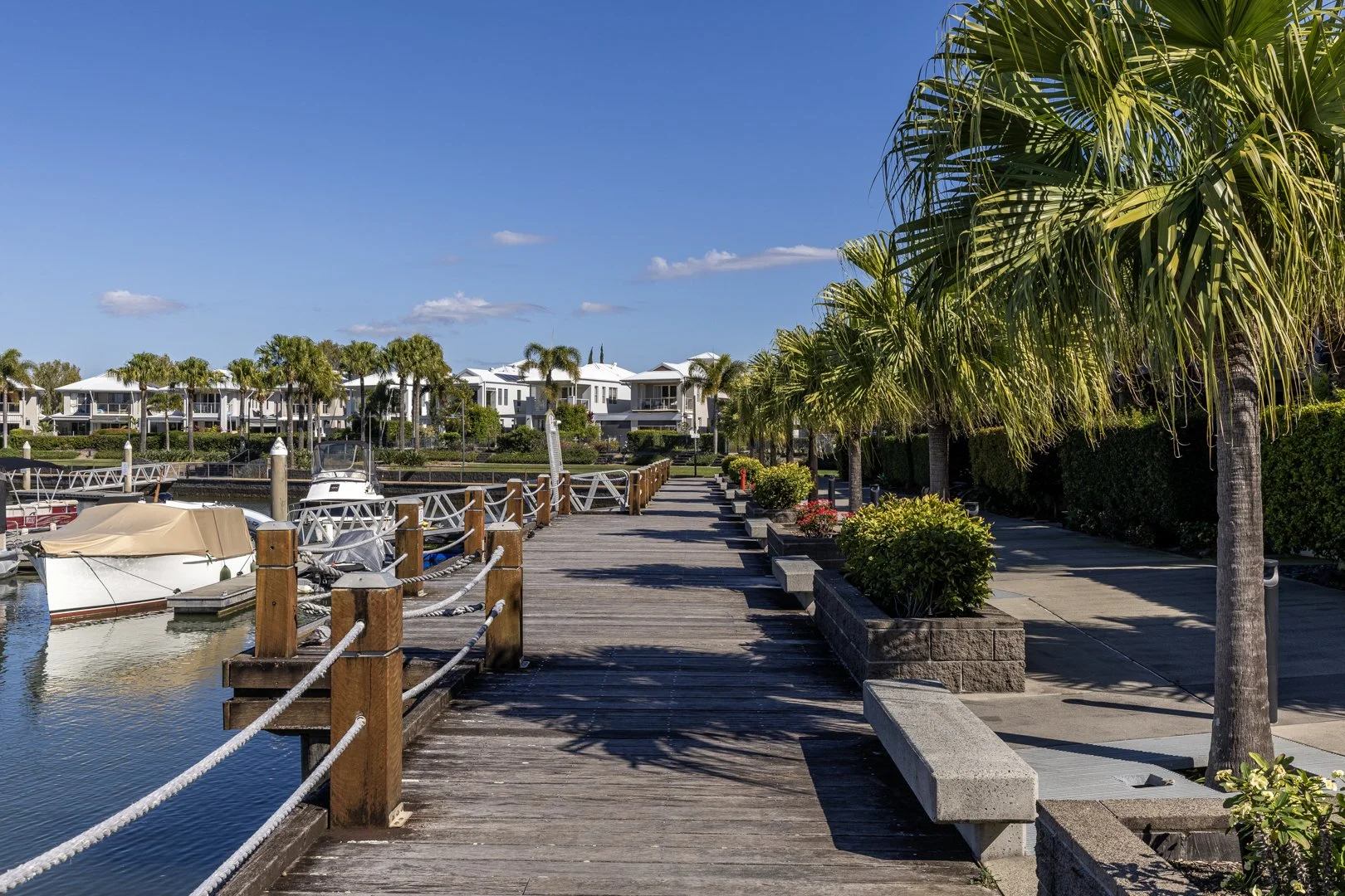 Timber boardwalk with palm trees and moored boats along the Coomera Waters marina promenade.