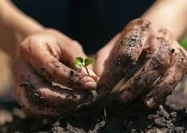 Time to get my hands dirty