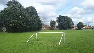 What should a level playing field look like?