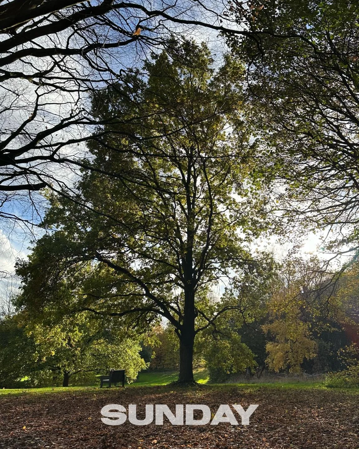 🍂 Sunday reflections 🍂

Yesterday I spent a mindful hour or so collecting leaves to preserve for a little crafting project. It&rsquo;s amazing how grounding it feels to slow down and simply be in nature &mdash; noticing the colours, the sounds, the