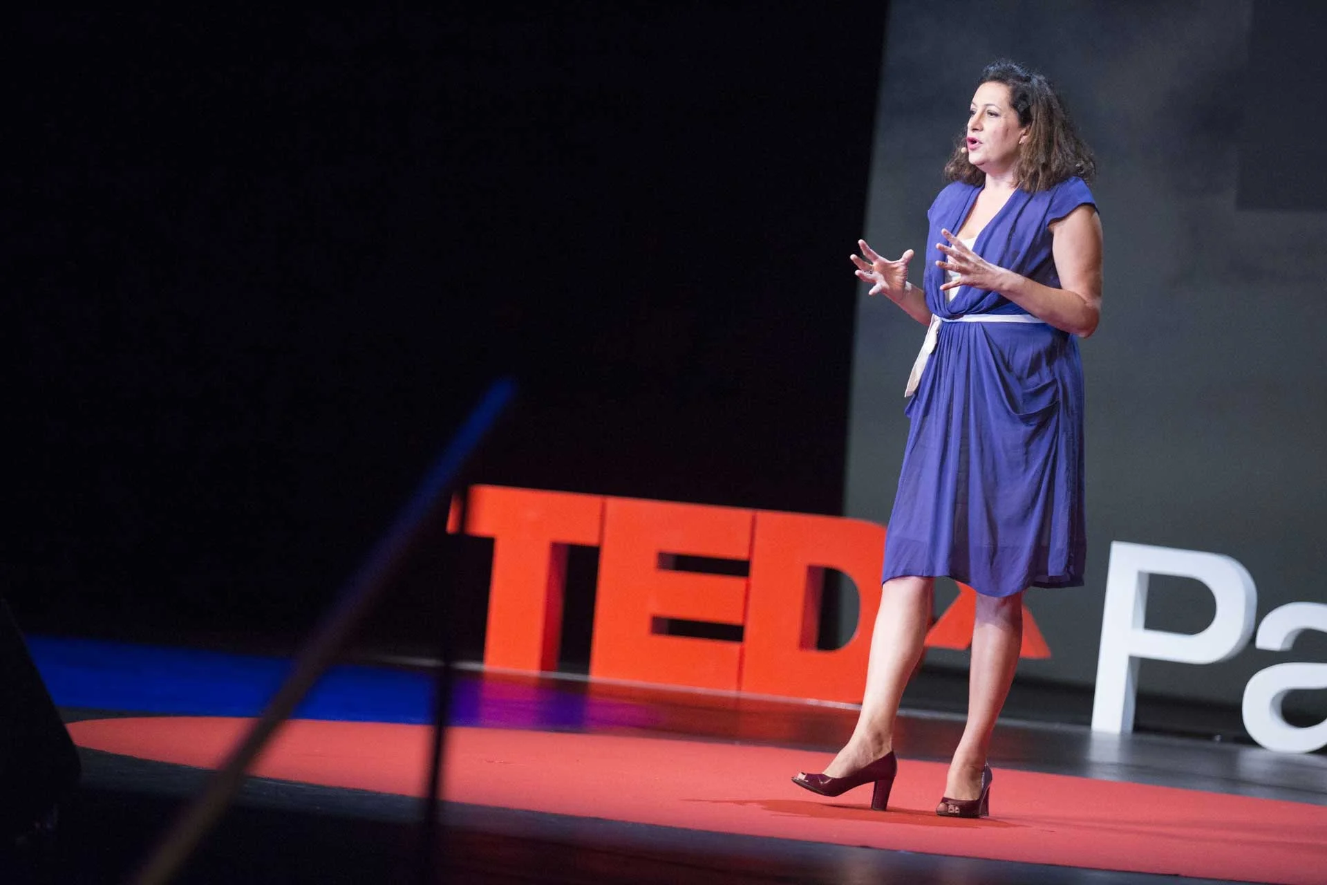 conference-TEDxParis-2014-8.jpg