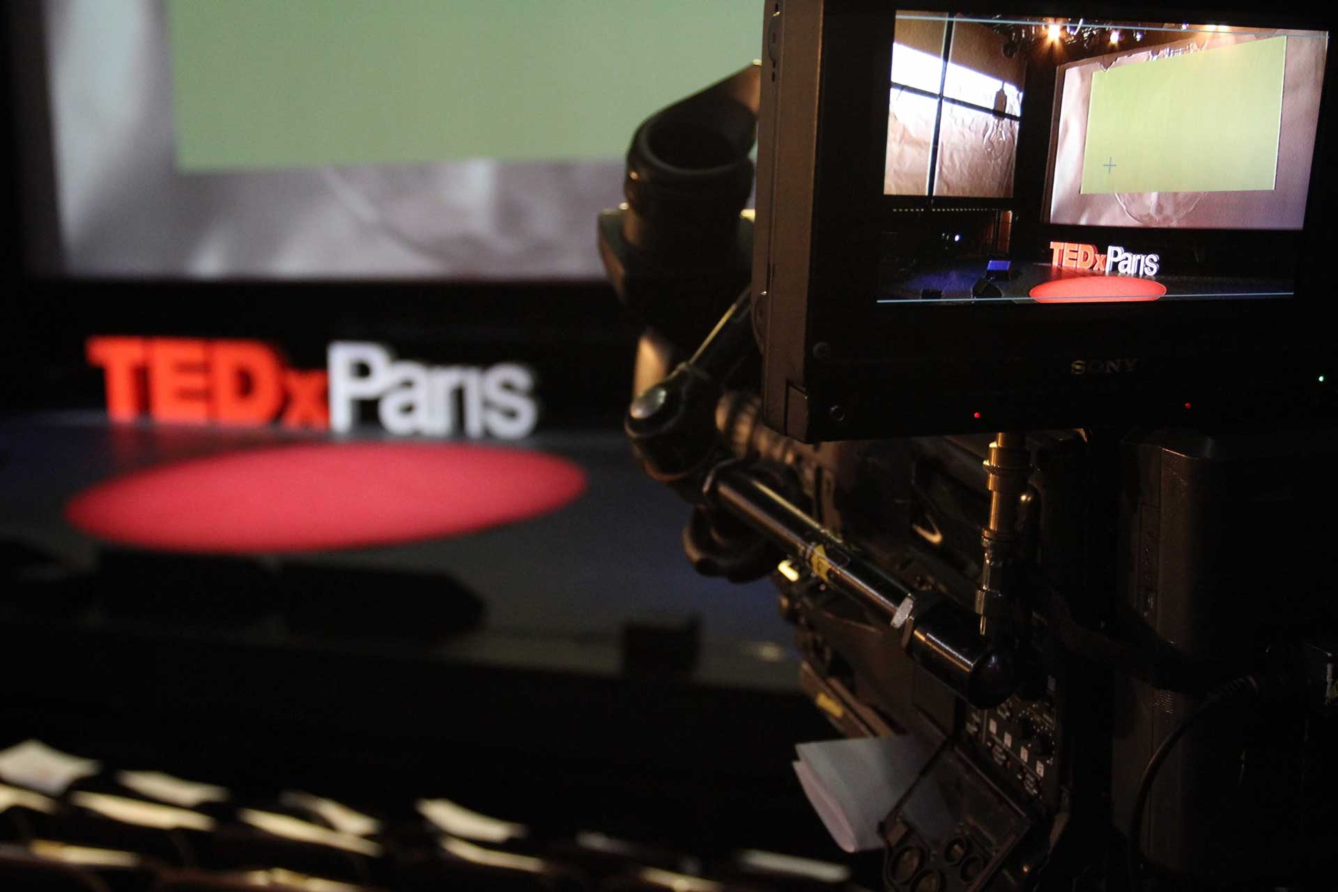 conference-TEDxParis-2013-2.jpg